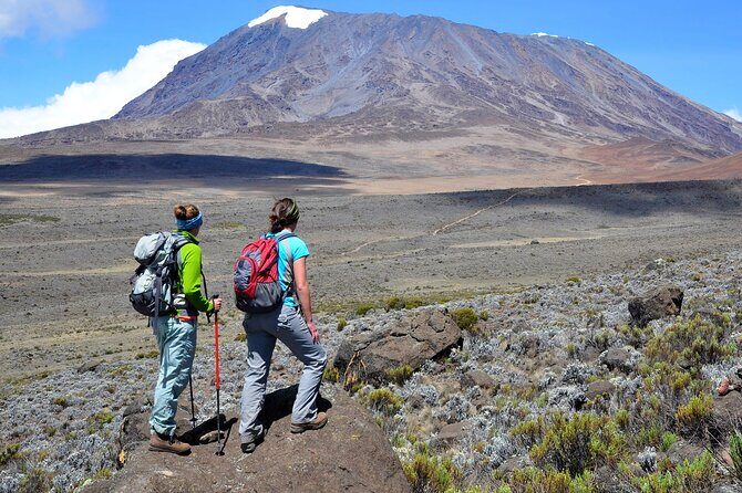 7-Day Mountain Climbing in Machame Route - Guides, camp life, and why “support crew” matters