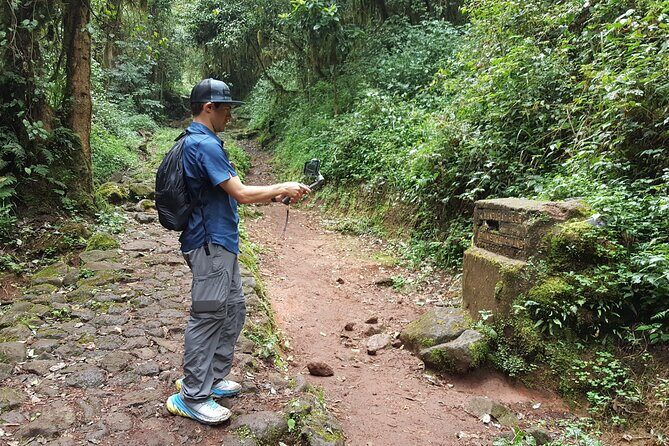 7-Day Mountain Climbing in Machame Route - Summit success isn’t hero mode: tips for pacing and altitude