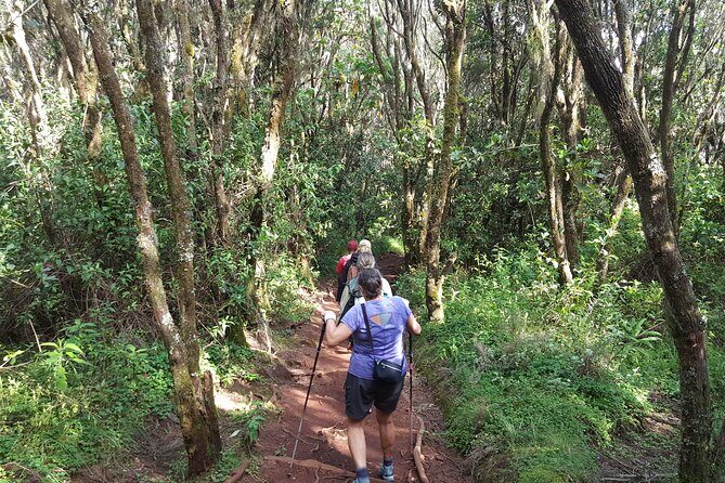 7-Day Mountain Climbing in Machame Route - Should you book Serengeti Wildlife Safaris for Machame?