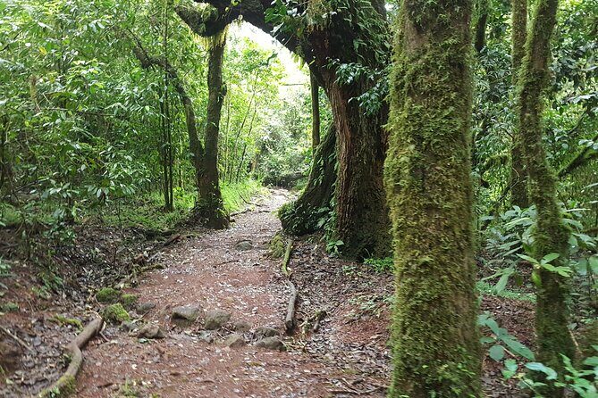 7-Day Mountain Climbing in Machame Route - FAQ