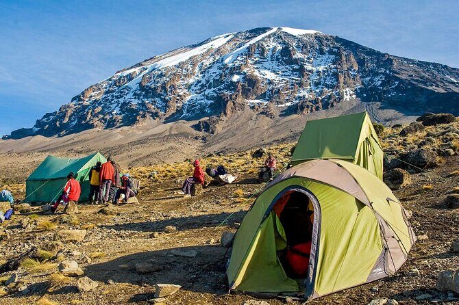 7-Day Mt. Kilimanjaro Hiking: Machame Route - Day 3 to Lava Tower and Barranco: the toughest day so far