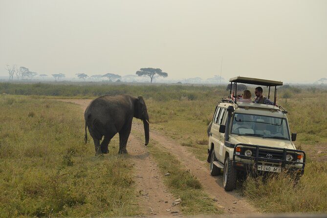 7-Day North Tanzania Classic Safari - Day seven: returning to Arusha or Kilimanjaro Airport with time to breathe