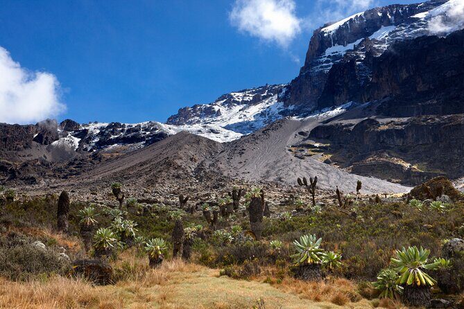 7-Day Private Kilimanjaro Hiking Tour via Machame from Arusha - Price and What $2,699 Buys You (And What It Doesn’t)