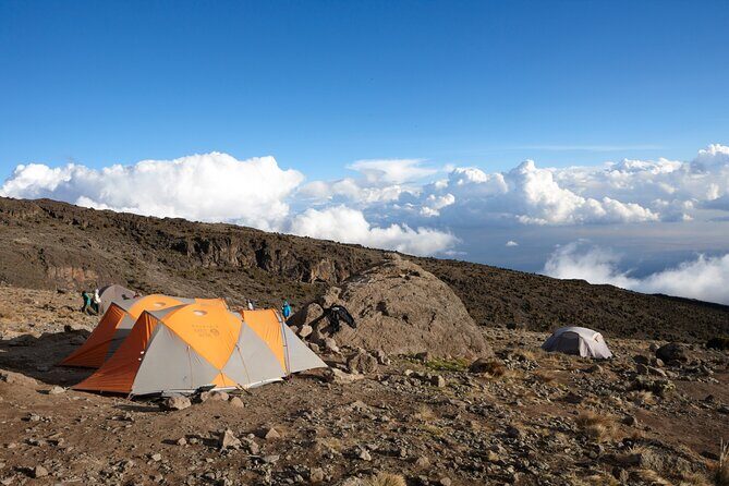 7-Day Private Kilimanjaro Hiking Tour via Machame from Arusha - Day 4: Barranco Wall Scramble and Karanga River Valley Reward