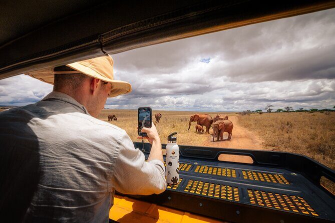 7 Day Safari in Tanzania National Parks - Key highlights I’d underline before you book