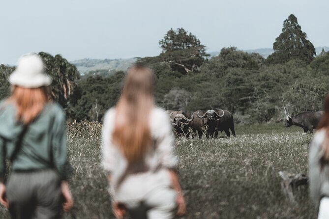 7 Day Safari in Tanzania National Parks - Arusha National Park: The Walking Safari Start and Why It’s Special
