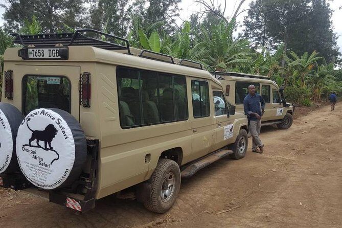 7-Day Safari (Including Serengeti) & Zanzibar Extension - Ngorongoro Crater: Noah’s Ark Energy, Best Captured Early