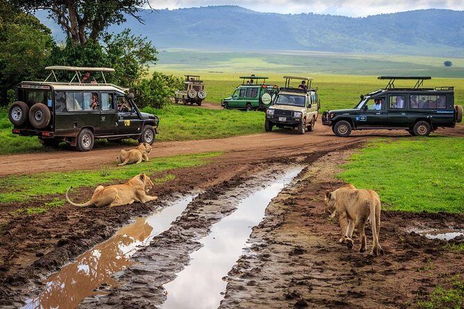 7-Day Safari (Including Serengeti) & Zanzibar Extension - Picking Your Zanzibar Add-Ons: Stone Town, Spice Tours, Prison Island, Jozani