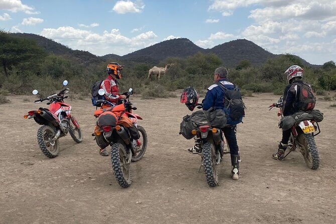 7-Day Tanzania Private Guide Motorcycle Safari Tour - Day 4: Lake Manyara and Tarangire–Manyara Ecosystem Connections