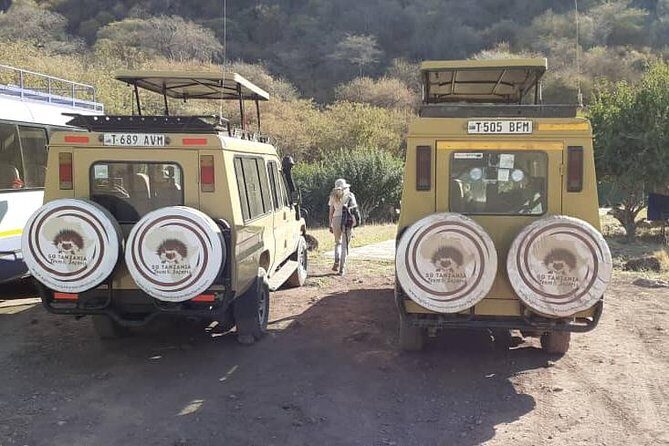 7 Day Tanzania visiting Arusha, Lake Manyara, Serengeti, Ngorongoro & Tarangire - Lake Manyara on the way back: tree-climbing lions and seasonal flamingo chances