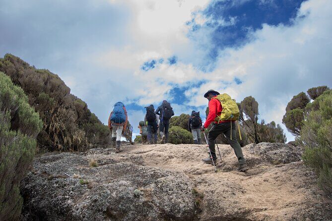 7 Day Trek To The Roof Of Africa Kilimanjaro via Machame Route - Safety and guide quality: certified first response and real medical checks