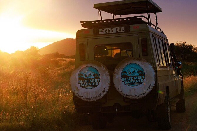 7 Days All inclusive Premium Safari Adventure in Tanzania - Quick hits on this 7-day safari
