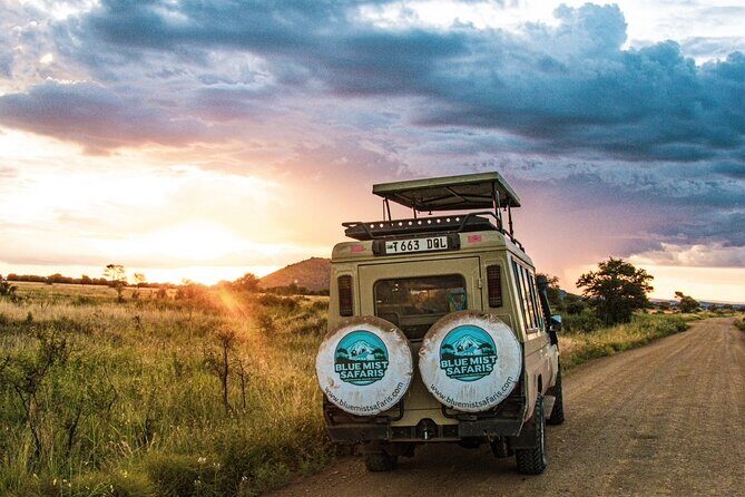 7 Days All inclusive Premium Safari Adventure in Tanzania - Serengeti Day 2: from crater views to classic savanna rhythm