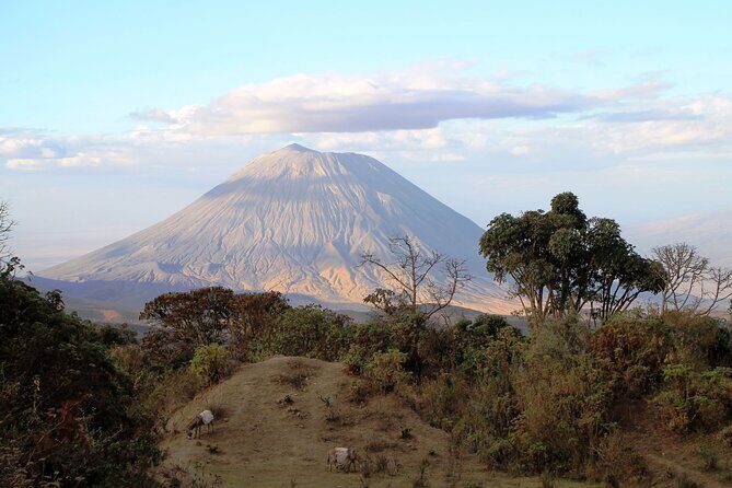 7 Days Cultural and Wildlife Safari - Northern Safari Circuit: why this 7-day route makes sense