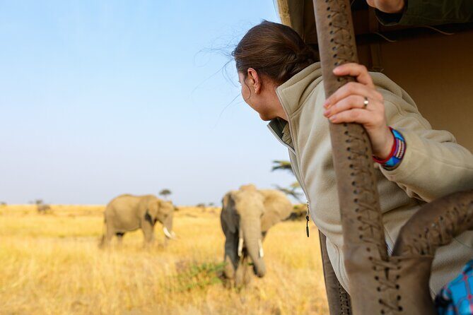 7 Days Cultural and Wildlife Safari - Ngorongoro Crater: the 600-meter descent and black rhino chances at Lake Magadi