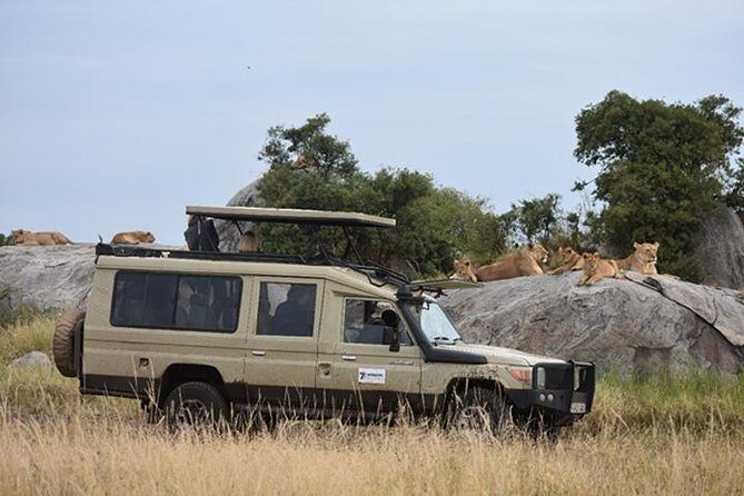 7 Days: Great Migration Mara River Crossing(manyara, Ngorongoro And Serengeti) - North Serengeti Around the Mara River: Where Waiting Turns Into Action