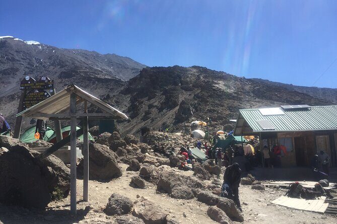 7 Days Kilimanjaro Climb Machame route - Day 7: Mweka Gate Descent Through Cloud Forest and Your Certificate