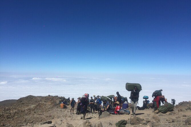 7 Days Kilimanjaro Climb Machame Route - Day 1-2: Machame Gate Rainforest to Shira Plateau