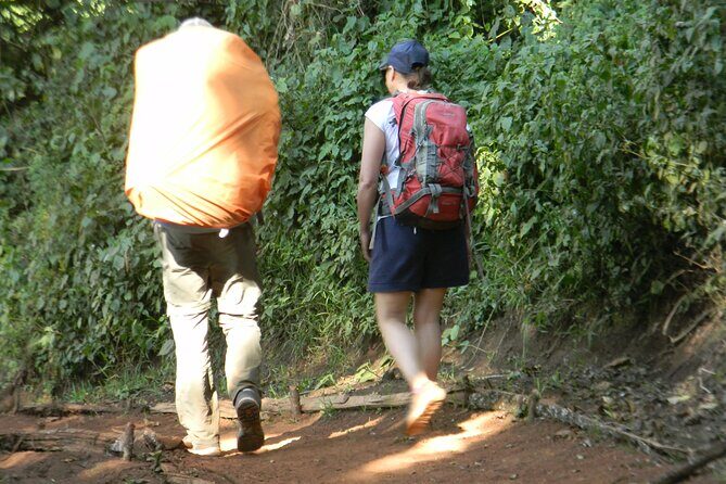 7 Days Kilimanjaro Climbing | Hiking Tour via the Lemosho Route - First Steps in Moshi: Meeting Burigi Chato Safaris and Getting to the Gate