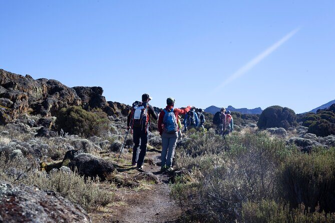 7 Days Kilimanjaro Climbing | Hiking Tour via the Lemosho Route - Day 4 Barranco Wall and Karanga Valley: Challenging But Teachable