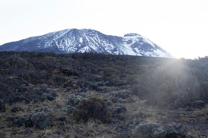 7 Days Kilimanjaro Climbing | Hiking Tour via the Lemosho Route - Day 7 Descent to Mweka Gate: Certificates, Moshi Town Energy, and Real Recovery