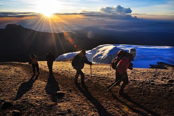 7 Days Kilimanjaro trek via Machame route - Key Highlights You’ll Actually Feel on the Trek