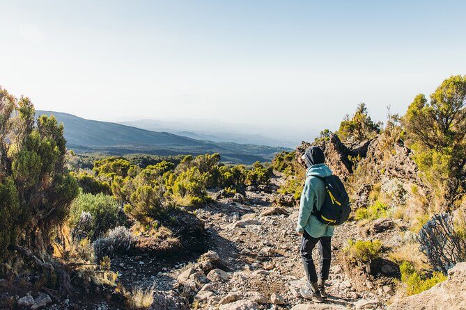 7 Days Kilimanjaro trek via Machame route - Day 7: Forest Descent to Mweka Gate and Back to Arusha