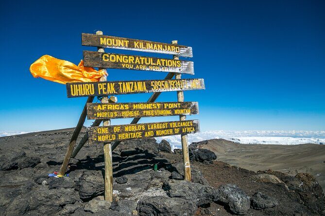 7 Days Kilimanjaro trek via Machame route - Day 2: Views Over the Plains, Then Shira Plateau Fossil-Made Terrain