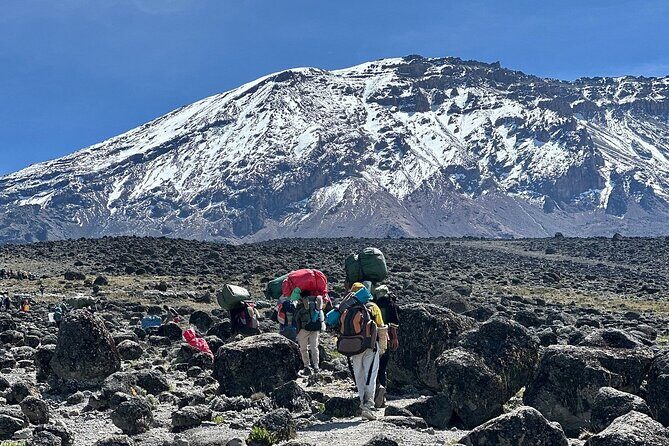 7 Days Kilimanjaro Trekking Machame Route - Key Highlights Worth Planning For