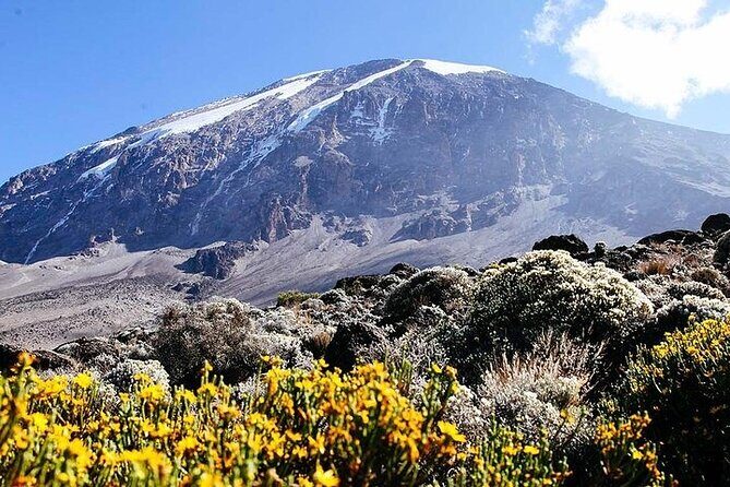 7 Days Kilimanjaro Trekking Machame Route - Day 3: Lava Tower Shark’s Tooth to Barranco for Acclimatization