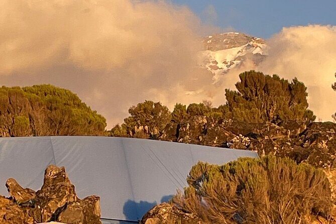 7 Days Kilimanjaro Trekking Machame Route - Day 1 and 2: Rainforest to Shira Moorlands (and why it matters)