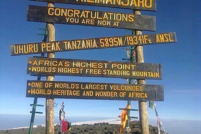 7 days Lemosho route - Shira 2 Camp: from lush rainforest to cold moorland at 3,840m