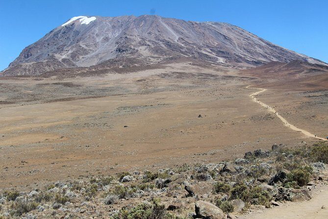 7 days Lemosho route - Summit day from 23:30: Stella Point at sunrise to Uhuru Peak