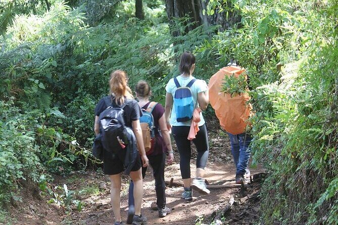 7 Days Lemosho Route Kilimanjaro Climbing | Solely Tours - Barranco Wall day to Karanga Camp: short mileage, big views