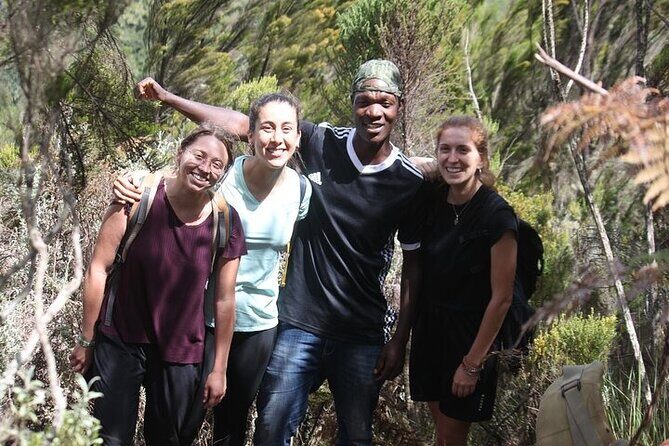 7 Days Lemosho Route Kilimanjaro Climbing | Solely Tours - Price and logistics: what $2,297.30 buys you (and what it doesn’t)