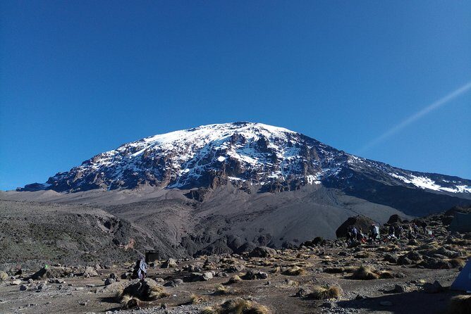 7 Days Machame Route Climbing Mt. Kilimanjaro - Rain forest to Shira Camp: the moorland shift that tests lungs (Day 2)