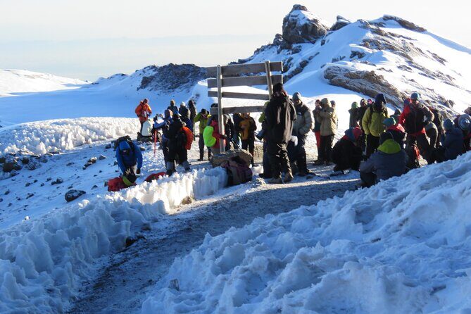 7 Days Machame Route Kilimanjaro Hiking | Climbing Tour - Logistics in Moshi: start time, transfers, and where you meet