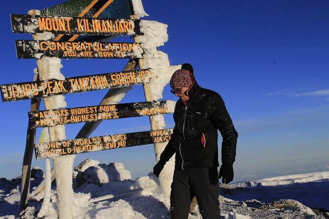 7 Days Machame Route Kilimanjaro Hiking | Climbing Tour - Day 2: Shira Plateau moorland and Shira Cave freezing-night experience