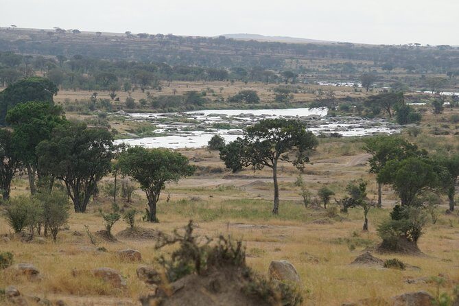 7 Days Migration Crossing in Mara River Northern Serengeti - Day 6 Ngorongoro Crater: A Concentrated Ecosystem Day