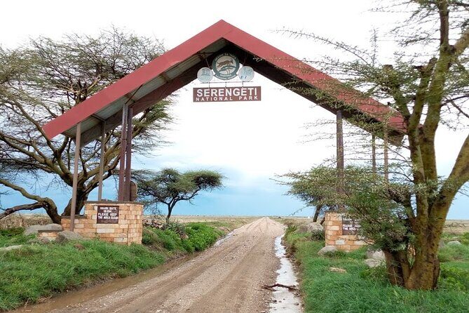 7 days Mt Kilimanjaro,Tarangire NP, Ngorongoro, Serengeti NP, Lake Manyara NP - Serengeti mornings: early light, big-cat energy, and full-day drive time