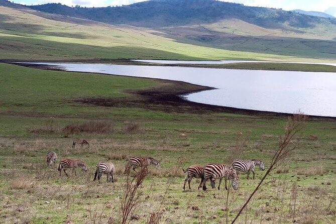 7 days Mt Kilimanjaro,Tarangire NP, Ngorongoro, Serengeti NP, Lake Manyara NP - Arusha to Tarangire: elephants, pythons, and that Tarangire river pull