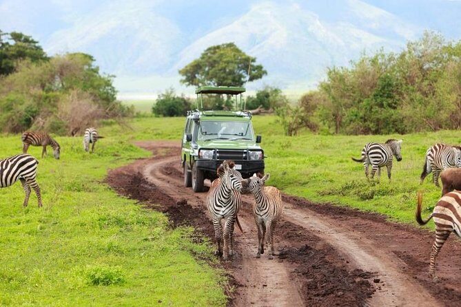 7-Days Private Midrange Safari; Serengeti & Ngorongoro Crater - Arusha National Park first: a walking safari plus viewpoints