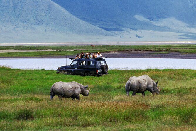 7-Days Private Midrange Safari; Serengeti & Ngorongoro Crater - Serengeti: sunrise drives, sunset light, and getting in before the crowd