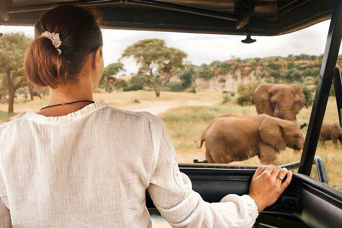 7-Days Private Midrange Safari; Serengeti & Ngorongoro Crater - Ngorongoro Conservation Area: sunrise action and Naabi Gate timing