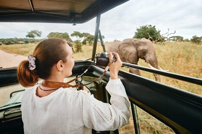 7-Days Private Midrange Safari; Serengeti & Ngorongoro Crater - Ngorongoro Crater at dawn: open-roof cruiser and hippo pool picnic lunch