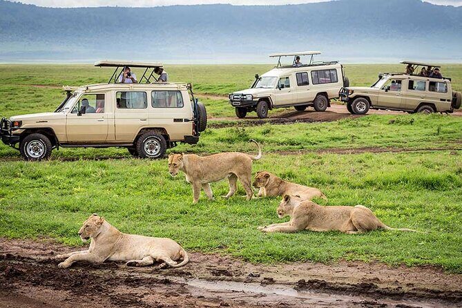 7-Days Private Midrange Safari; Serengeti & Ngorongoro Crater - Food, comfort, and the practical value of this midrange safari