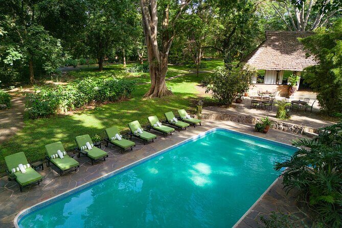 7-Days Private Midrange Safari; Serengeti & Ngorongoro Crater - Getting around: transfers, drive times, and what your day will feel like