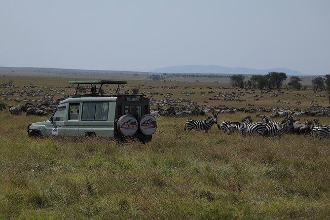 7 Days Private Serengeti Wildebeest Migration Tour - What makes it special (quick highlights)