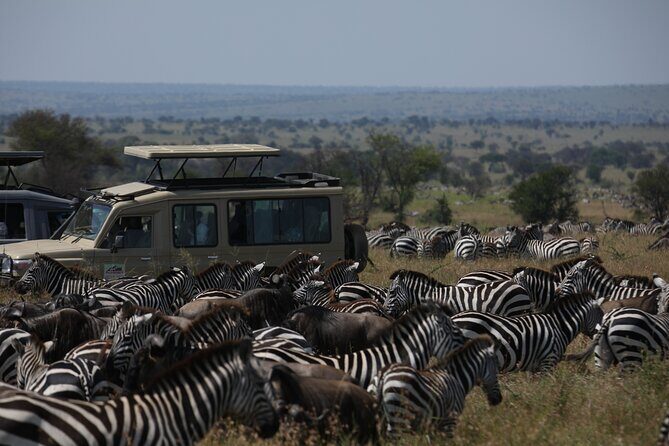 7 Days Private Serengeti Wildebeest Migration Tour - Early Serengeti sunrise and aiming toward the Mara River crossings