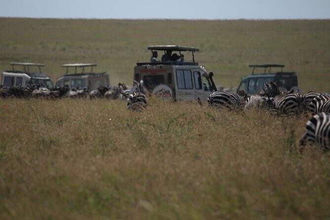 7 Days Private Serengeti Wildebeest Migration Tour - Tarangire National Park: elephants, baobabs, river wildlife, and big bird numbers
